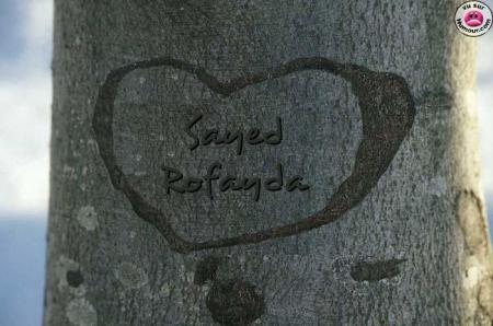 rofayda love sayed
